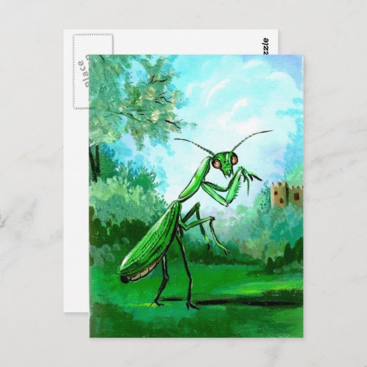 Mantis Postkarte (Vorne/Hinten)