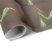 Mantis religiosa geschenkpapier (Rolleneckpunkt)