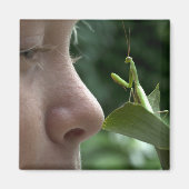 Mantis religiosa magnet (Vorne)