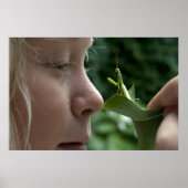 Mantis religiosa poster (Vorne)