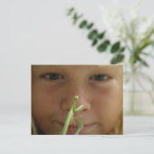 Mantis religiosa postkarte (Stehend Vorderseite)