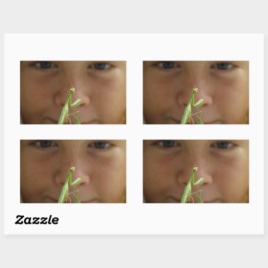 Mantis religiosa rechteckiger aufkleber (Blatt)