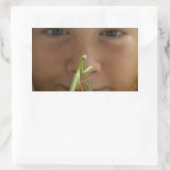 Mantis religiosa rechteckiger aufkleber (Tasche)