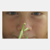 Mantis religiosa rechteckiger aufkleber (Vorderseite)