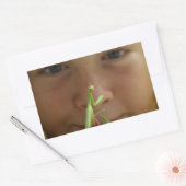 Mantis religiosa rechteckiger aufkleber (Umschlag)