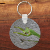 Mantis-Schlüsselanhänger beten Schlüsselanhänger (Vorderseite)