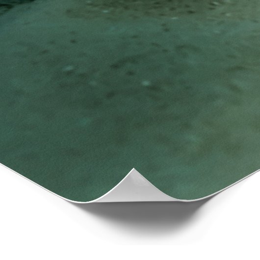 Mantis Shrimp Angelfish Salzwasserriff Fisch Poster (Ecke)