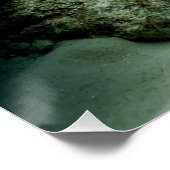 Mantis Shrimp Angelfish Salzwasserriff Fisch Poster (Ecke)