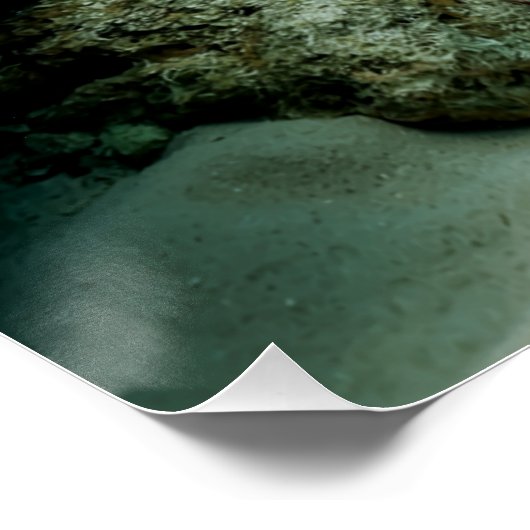 Mantis Shrimp Angelfish Salzwasserriff Fisch Poster (Ecke)