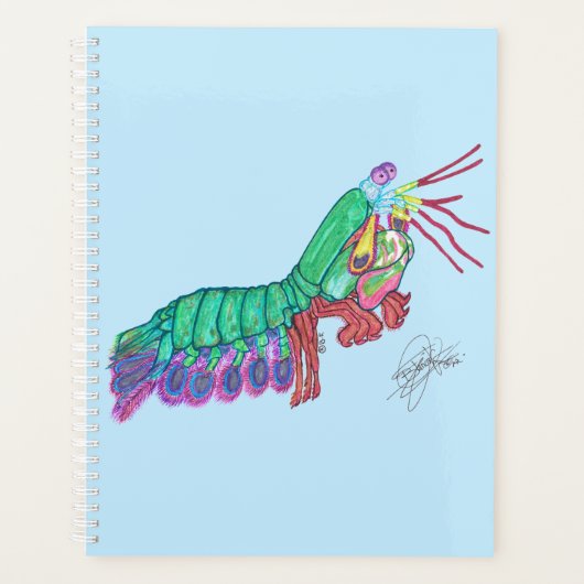 MANTIS SHRIMP PLANER (Vorderseite)