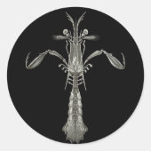 Mantis Shrimp Runder Aufkleber (Vorderseite)