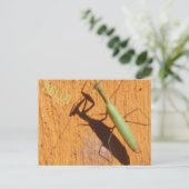Mantis-Silhouette beten Postkarte (Stehend Vorderseite)