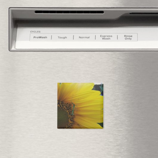 Mantis Sonnenblume beten Magnet (In Situ (Geschirrspüler))