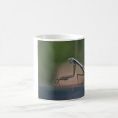 Mantis-Tasse beten Kaffeetasse (Mittel)