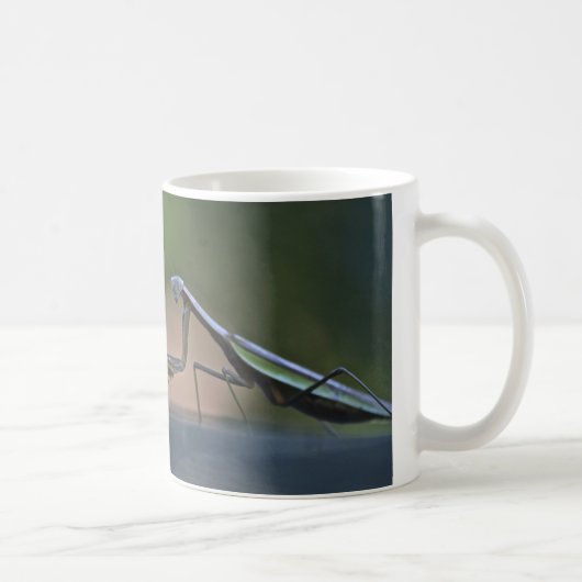 Mantis-Tasse beten Kaffeetasse (Rechts)