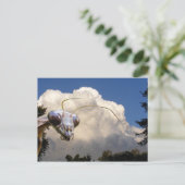 Mantis und Cloud ~ Postkarte (Stehend Vorderseite)
