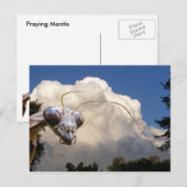 Mantis und Cloud ~ Postkarte (Vorne/Hinten)