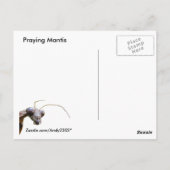 Mantis und Cloud ~ Postkarte (Rückseite)