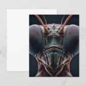 Mantis zu beten, Macro Nah (Vorne/Hinten)