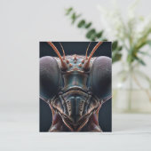 Mantis zu beten, Macro Nah (Stehend Vorderseite)