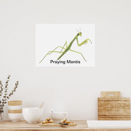 Mantis zum Malen von benutzerdefinierten Postern Poster (Küche)