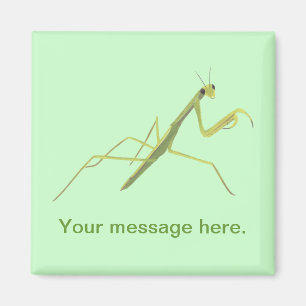 Mantis zum Malen von Wörtern Magnet