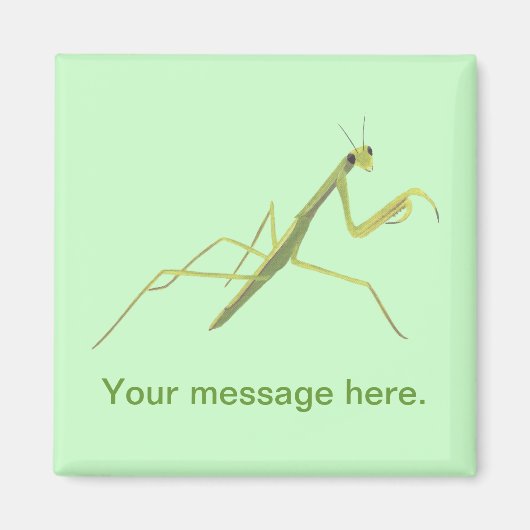 Mantis zum Malen von Wörtern Magnet (Vorne)