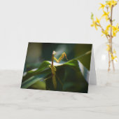Mantis zum Prachen, Karte (Gelbe Blume)