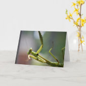 Mantis zum Prachen, Karte (Gelbe Blume)