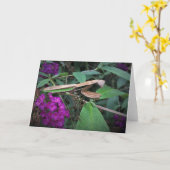 Mantis zum Prachen, Karte (Gelbe Blume)