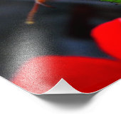 Mantitis Fotodruck (Ecke)