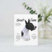 Mantle Great Dane Meet Breed Postkarte (Stehend Vorderseite)