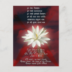 Mantra der Liebe Postkarte