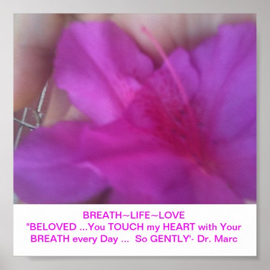 MANTRA POSTER (Vorne)