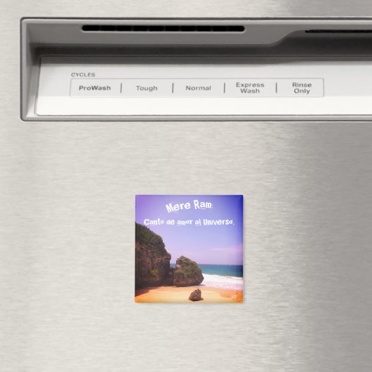 Mantras Magnet (In Situ (Geschirrspüler))