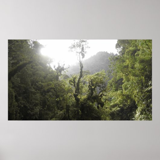 Manu-Nationalpark Poster (Vorne)
