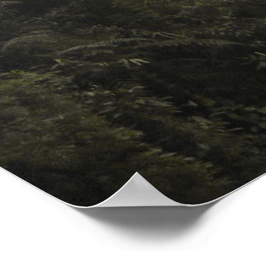 Manu-Nationalpark Poster (Ecke)