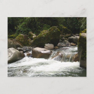 Manu-Nationalpark Postkarte