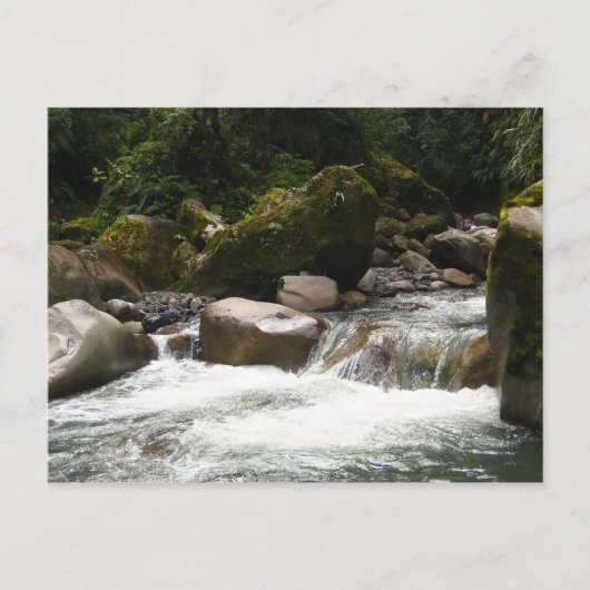 Manu-Nationalpark Postkarte (Vorderseite)