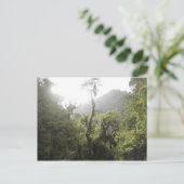 Manu-Nationalpark Postkarte (Stehend Vorderseite)