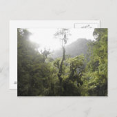 Manu-Nationalpark Postkarte (Vorne/Hinten)