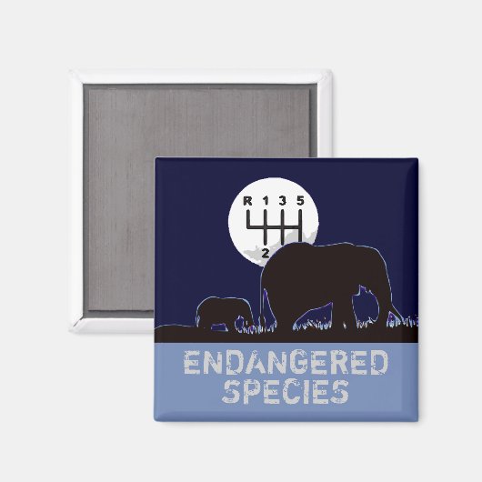 MANUAL - gefährdete Arten Magnet (Vorderseite/Rückseite)