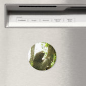 Manuel Antonio Magnet (In Situ (Geschirrspüler))