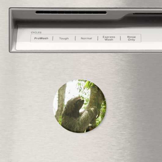 Manuel Antonio Magnet (In Situ (Geschirrspüler))