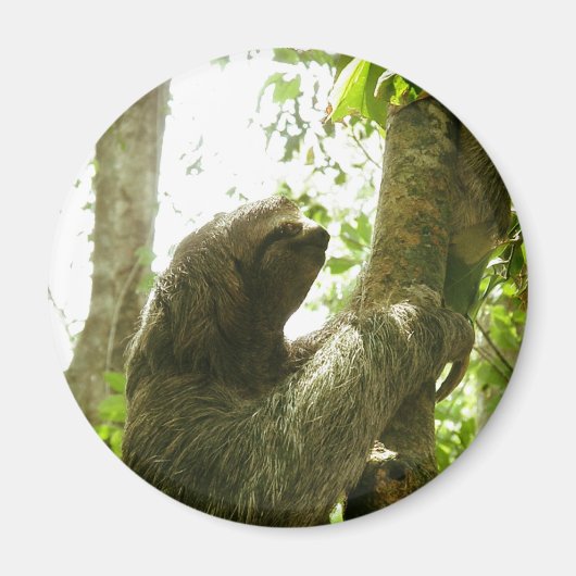 Manuel Antonio Magnet (Vorne)