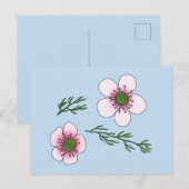 Manuka-Blume Postkarte (Vorne/Hinten)