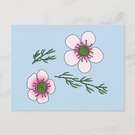 Manuka-Blume Postkarte (Vorderseite)