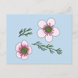 Manuka-Blüten Postkarte