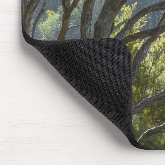 Manuka Tree Forest Neuseeland Mousepad (Ecke)