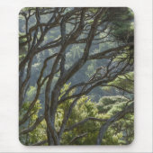 Manuka Tree Forest Neuseeland Mousepad (Vorne)